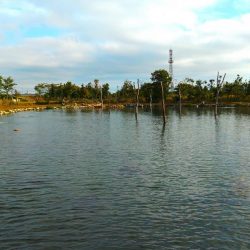 三桁釣果に大物もキャッチ！